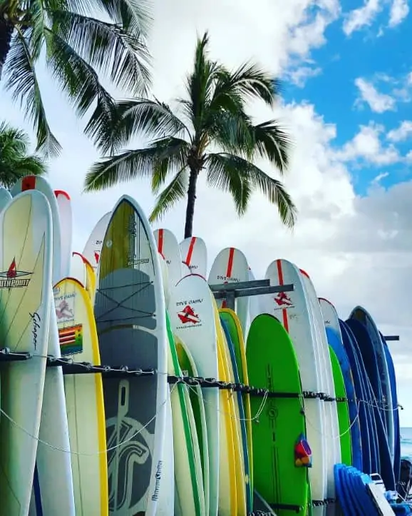 Are Long Surfboards Better for Beginners? Surf Learner