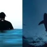 surfer sitting on board and a different image of a silhouette of a shark